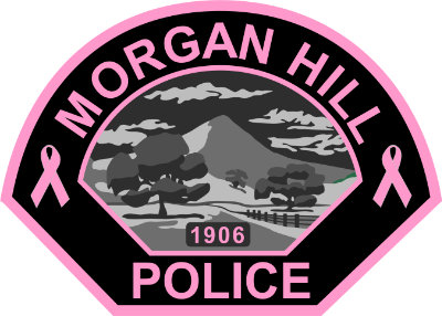 MorganHill Pink Patch 400
